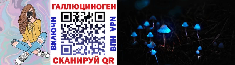 omg рабочий сайт Павловск Псилоцибиновые грибы MAGIC MUSHROOMS купить цена